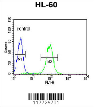 BPI Antibody (Center)