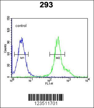 RABAC1 Antibody (N-term)