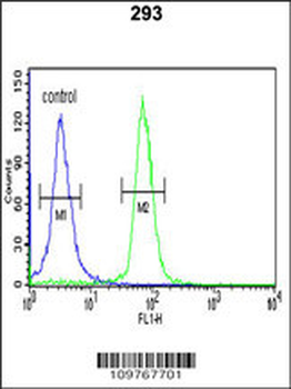 STK40 Antibody ( C-term )