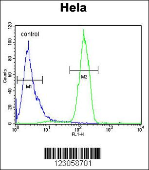 SKA3 Antibody (Center)