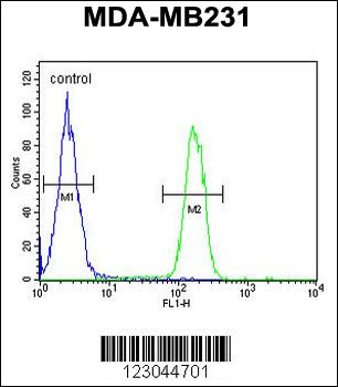 ARG1 Antibody (C-term)