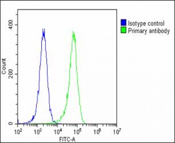 GC Antibody (Center)