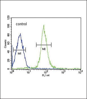 HP Antibody (Center)