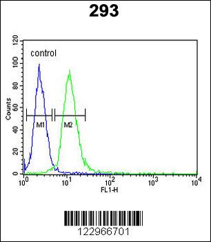 AIFM1 Antibody (N-term)