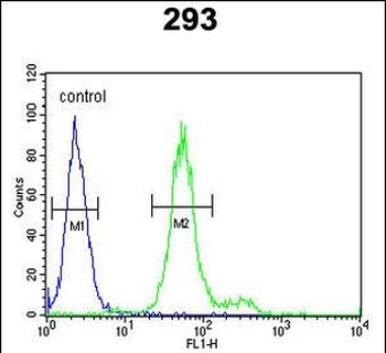 ADAMTS18 Antibody (C-term)