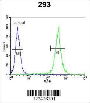 UNC13B Antibody (Center)