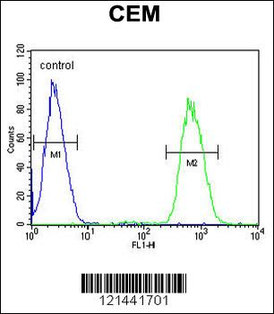 GAL3ST1 Antibody (Center)