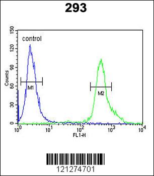TP73 Antibody (Center)