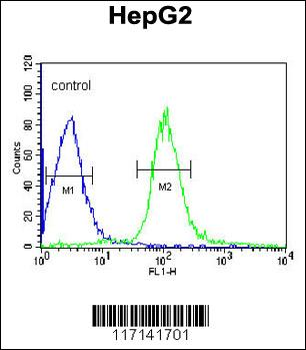MGST2 Antibody (C-term)