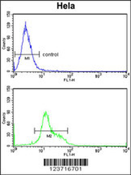 DTX4 Antibody (N-term)