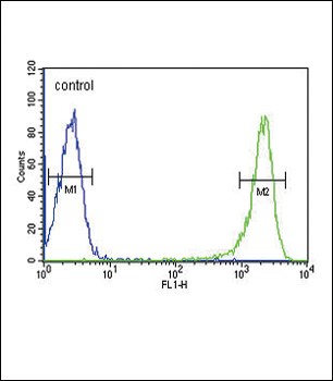 PSMB1 Antibody (C-term)