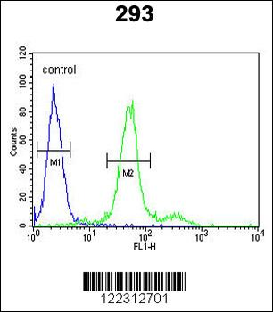 COL18A1 Antibody (N-term)