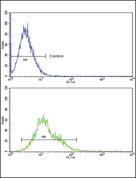 RAC2 Antibody (C-term)