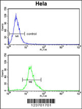 DOLK Antibody (Center)