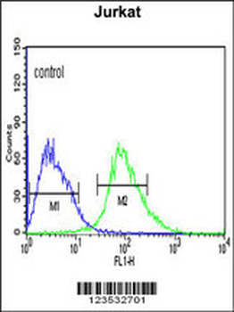 CANT1 Antibody (N-term)