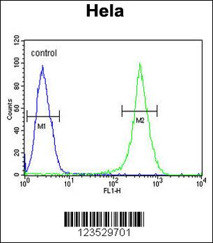 ASPSCR1 Antibody (C-term)