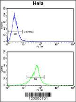 COTL1 Antibody (C-term)