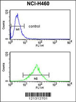 FPRL2 Antibody (Center)
