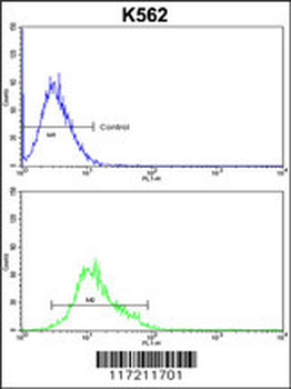 PPID Antibody (N-term)