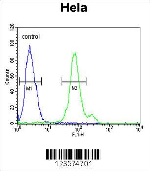 CTPS2 Antibody (N-term)