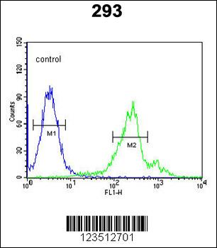 CDC42EP3 Antibody (N-term)