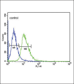 DRD4 Antibody (Center)