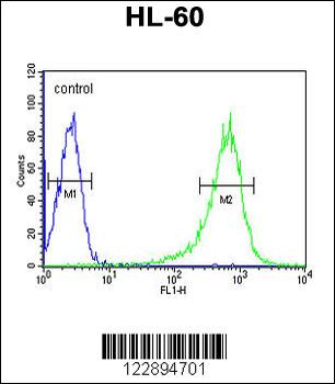 RGS1 Antibody (N-term)