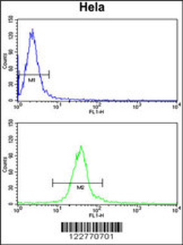 DERL1 Antibody (C-term)