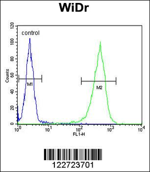 CCDC3 Antibody (C-term)