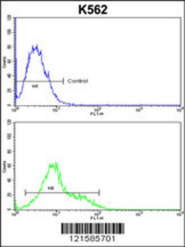 SORCS1 Antibody (N-term)