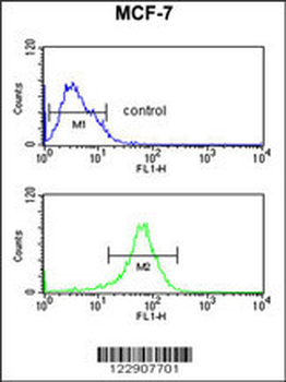 DIO2 Antibody (Center)