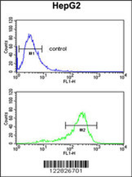 ACY3 Antibody (Center)