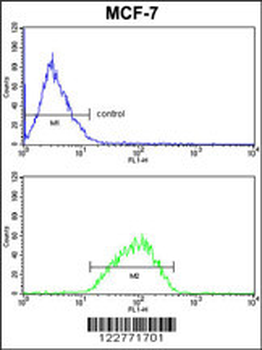DERL2 Antibody (C-term)