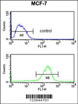 NIP7 Antibody (C-term)