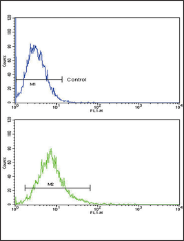 ATF6 Antibody (Center)