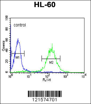 CBLB Antibody (Center)