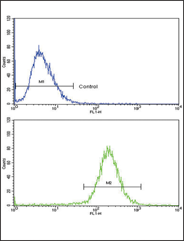 SCP2 Antibody (Center)