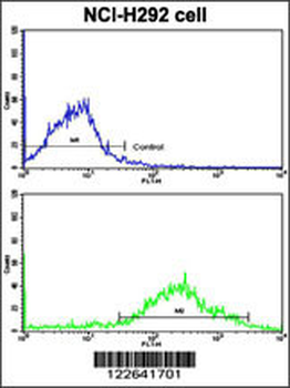 MLX Antibody (Center)