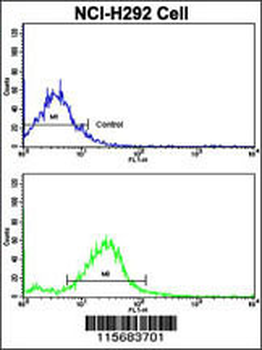RARS2 Antibody (C-term)