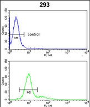 RB1 Antibody (C-term)