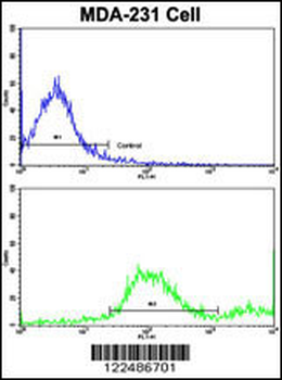 ADRA2B Antibody (Center)