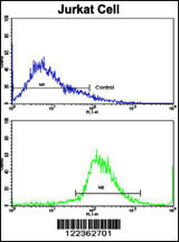 CECR5 Antibody (Center)
