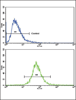 AOC3 Antibody (Center)
