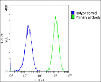 NPPA Antibody (N-term)