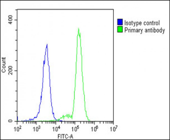 MyD88 Antibody (Center)