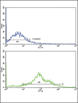 PLA2G4A Antibody (Center)