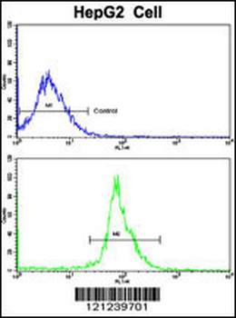 LTA Antibody (Center)