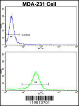 RANBP9 Antibody (Center)