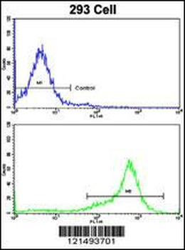 SHP2 Antibody (Y546)