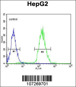 Cdc14 Antibody